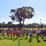 60841514_2223136301055234_6777620837341069312_o